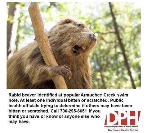 'Bizarre' Rabid Beaver Valt Philadelphia Park-Beschermheren Aan