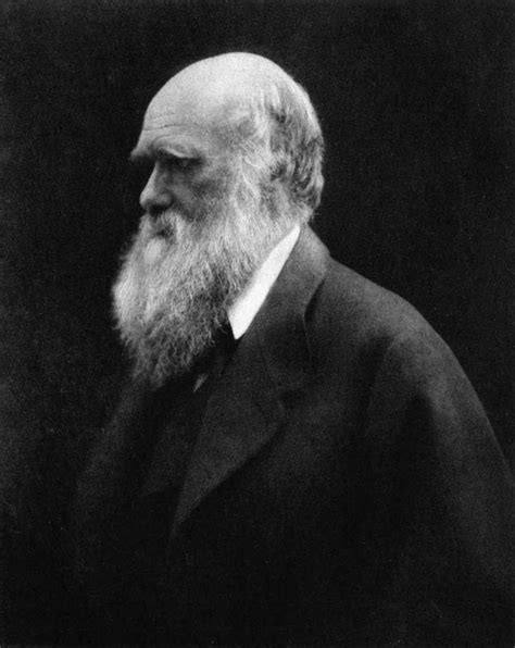 'Darwin Day' Würde Den Vater Der Evolution Feiern