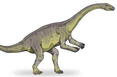 130-Miljoen Jaar Oude Eiwitten Die Nog Steeds Aanwezig Zijn In Fossielen Van De Dinosaurussen