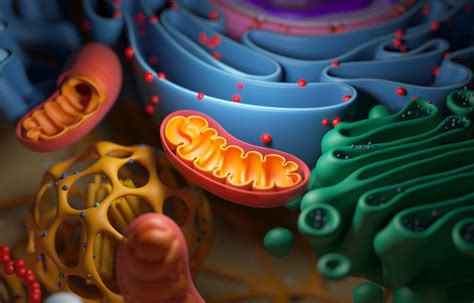 20億年も変わらず、バクテリアは進化のパズルを展開