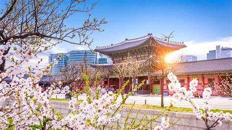 30 gratis ting å gjøre i Seoul, Sør-Korea - Lonely Planet