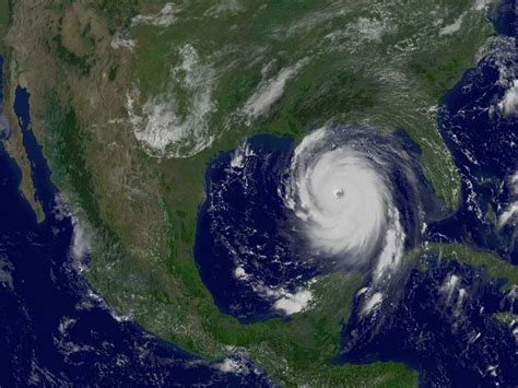 5 Ans Après Katrina, Les Écosystèmes Du Golfe À La Traîne