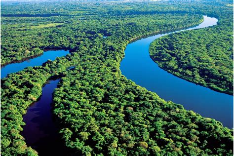 Amazon: Cel Mai Puternic Râu Al Pământului