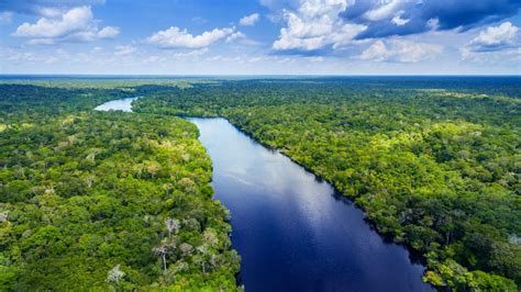 Amazones Upe Ir Datēta Ar 11 Miljoniem Gadu Vecu