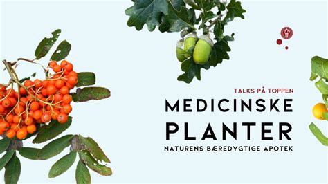 Antikens medicinske planter