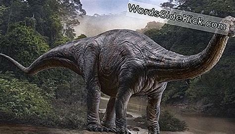 Apatosaurus: Datos Sobre El 'Lagarto Engañoso'