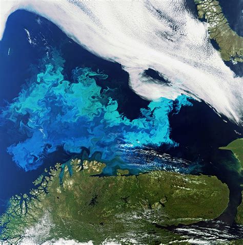 Arctic'S Spring Phytoplankton Blooms Komen Eerder Aan