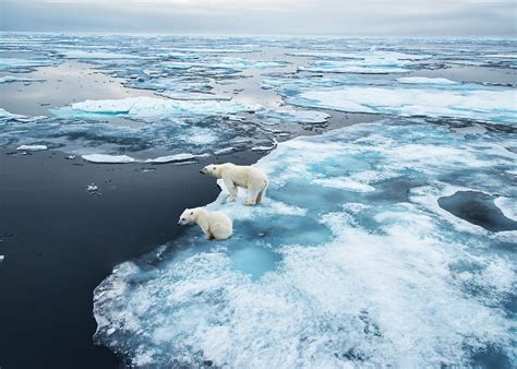 Arktikas Csi: Ciklons Ir Atcelts Rekordlielajā Jūras Ledus Kausējumā