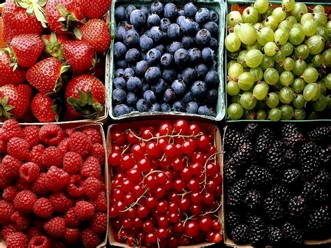 Berry frukter och bär