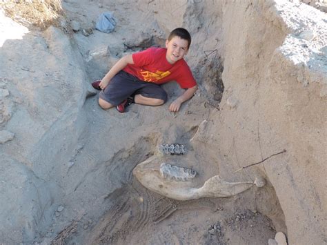 Boy Face-Plants Otse Million Aasta-Old Stegomastodon Kolju