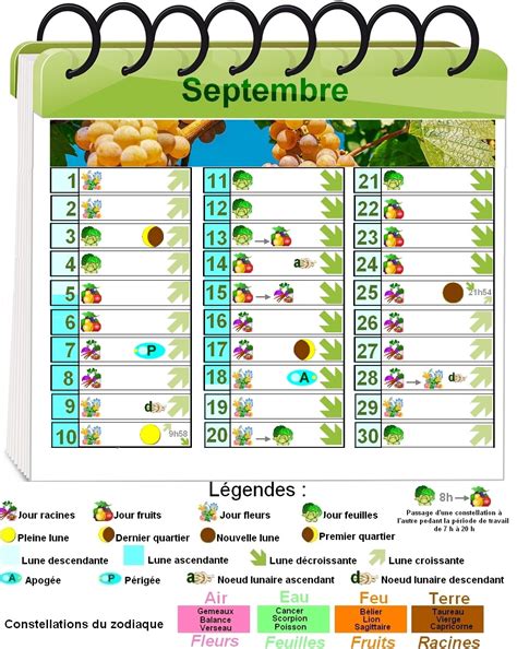 Calendrier de jardinage pour septembre - les meilleurs conseils de jardinage