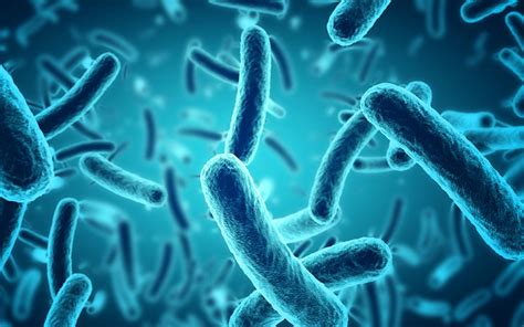 De Chipotle-Uitbraak Die Bijna 150 Mensen Ziekt, Is Veroorzaakt Door Deze Bacteriën