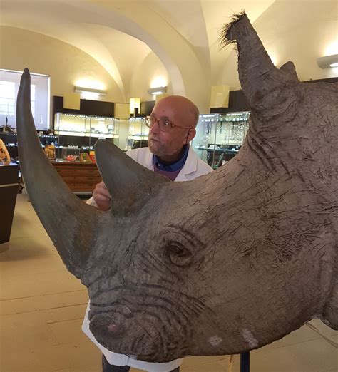 Di cosa è fatto il corno di un rinoceronte?