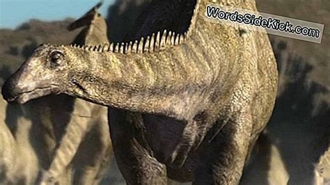 Dinosaurio De Grandes Patas Del Tamaño De Un Autobús, Una Vez Pisado A Través De Australia