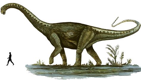El Descubrimiento Del Dinosaurio 'Primer Gigante' Es Un Enorme Hallazgo Evolutivo