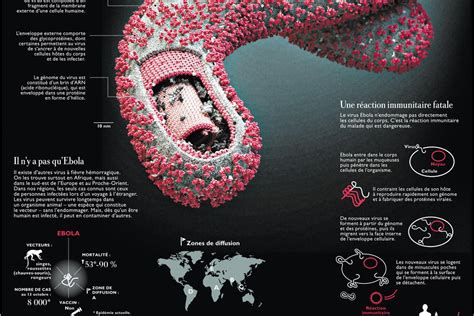 Expliqué: Que Faire Si Vous Contractez Le Virus Ebola (Infographie)