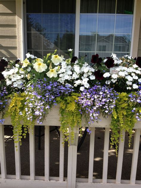Flower box for the balcony - Tips for planting and mounting