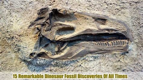 Fosil Dinosaura Bio Je Toliko Bizaran, Znanstvenici Su Mislili Da Je Lažan