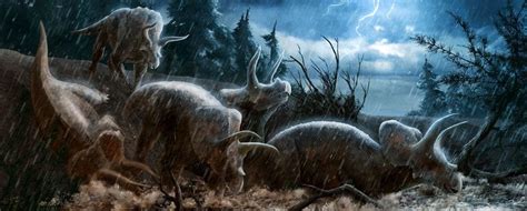 Fossiele Ogen Onthullen Predator'S Scherpe Visie