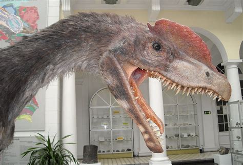 Fotografii: Dinozaur Carnivor Descoperit În Alpii Italieni