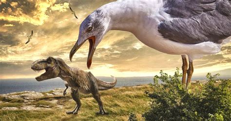 Fotografii: Păsări Evoluate Din Dinozauri, Spectacole Ale Expoziției Muzeului