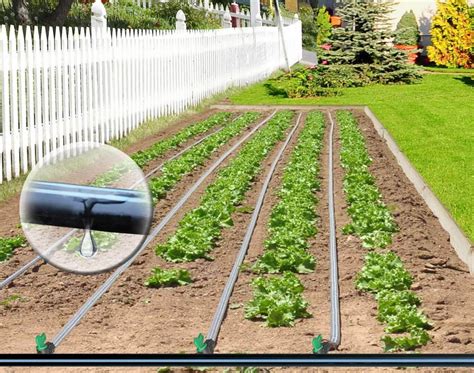 Gagner des jardinières avec système d'irrigation en terre