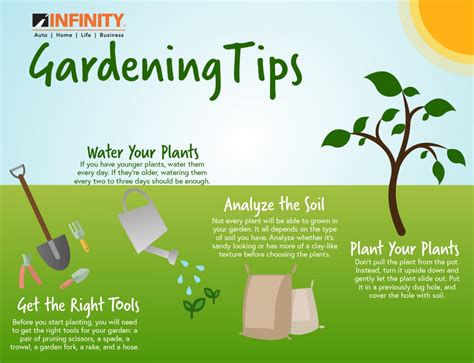 Gardening tips - Tips for the garden