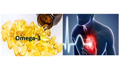 Gli Acidi Grassi Omega-3 Riducono Il Rischio Di Attacco Cardiaco Fatale