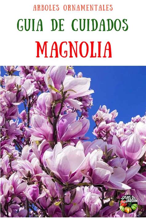 Hibernate Magnolia - Cómo hacerlo bien