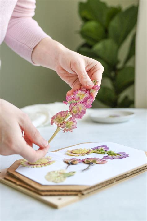 How to build a flower press