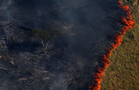 Incendios 'Ocultos' Ardiendo En La Selva Amazónica