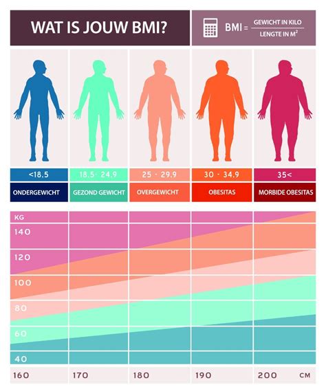 Inzicht In Gewicht: Bmi En Lichaamsvet