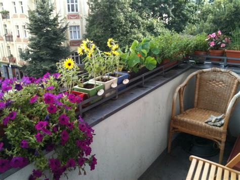 Jesenski dizajn balkona - preporučene biljke