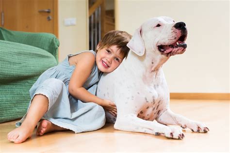 Kaip Šeimos Šuo Gali Sumažinti Vaiko Astmos Riziką