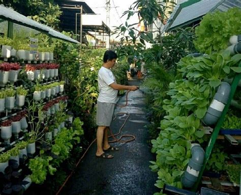 Kebun sendiri: Mengapa menanam bermanfaat