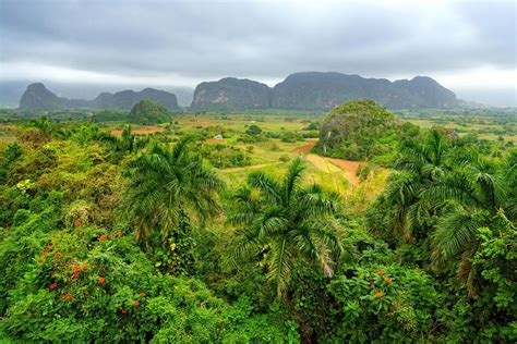 Khám phá Viñales, sân sau tuyệt đẹp của Cuba