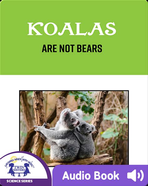 Koala Agli Umani: 'We Are Not Bears'