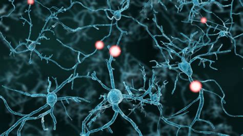 Komputery I Neurony Łączą Się: Naukowcy Pogłębiają Rozumienie Mózgu