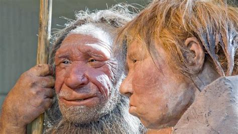 Kultur, Ikke Kranier, Gav Mennesker Kant Over Neanderthaler