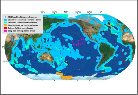 Kuzeydoğu Abd'Den Coral Hotspots Keşfedildi