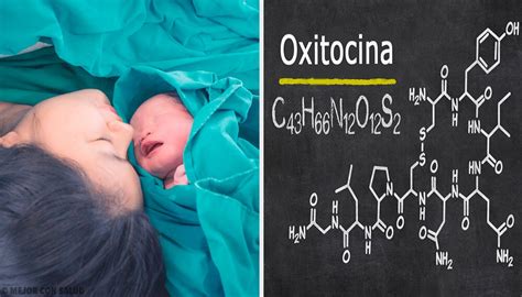 La Hormona Oxitocina Podría Mejorar La Espiritualidad