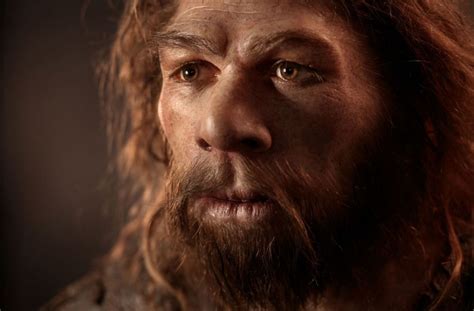 Le Débat Éclate: Les Humains Modernes Ont-Ils Rencontré Les Néandertaliens?