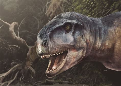 Le Redoutable Dinosaure Malgache Est Resté Un Pipsqueak Presque Toute Sa Vie