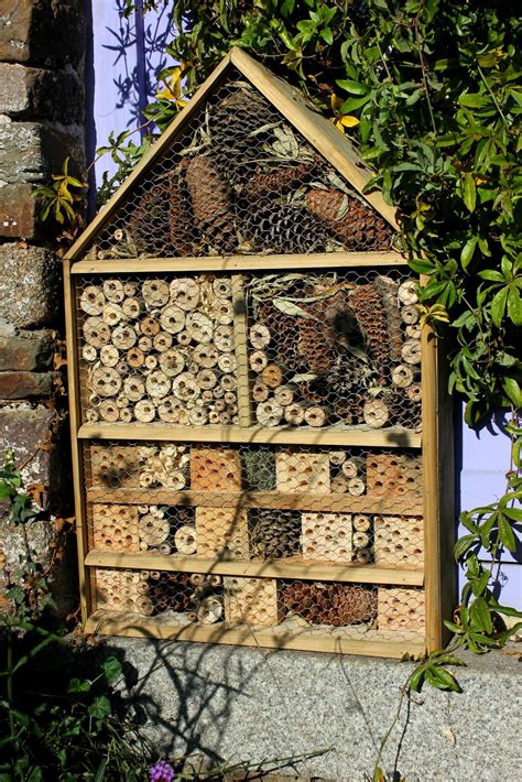 Luxury Insect hotels