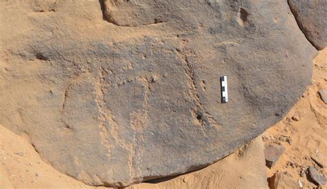 Masacrul Vechi De 7.000 De Ani: 9 Neolitici Externi Asasinați Cu Lovituri La Cap