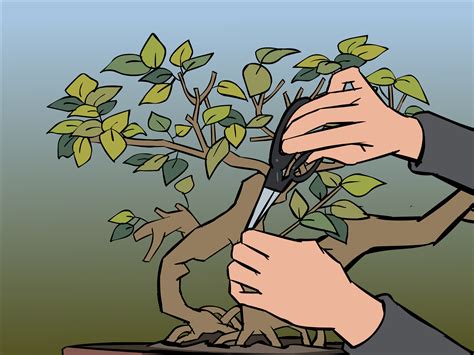Mencubit dan memangkas bonsai