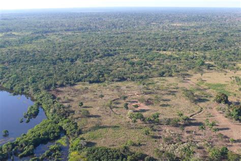 Mystiska Earthen Rings Predate Amazon Rainforest
