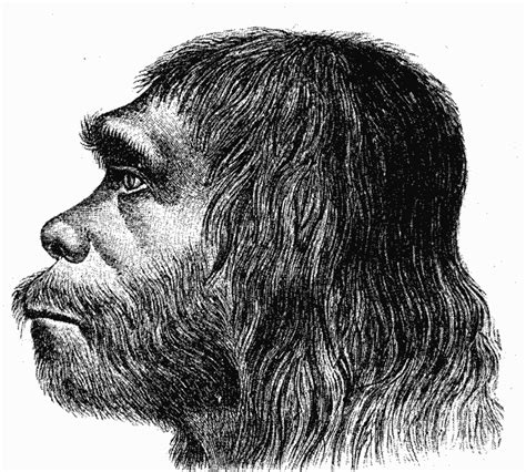 Neandertalac: 99,5 Posto Ljudi