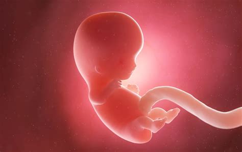 Oamenii De Știință Chinezi, Care Au Creat Bebelușii Editați În Gene, Au Mințit Și Au Declanșat Regulamente Cu Fuste, Spun Oficialii