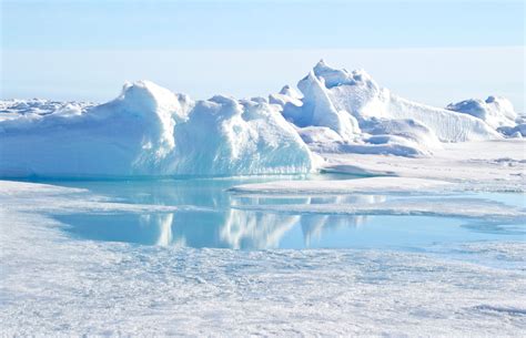 Opoziții Polari: De Ce Schimbările Climatice Afectează Diferit Arctic Și Antarctica
